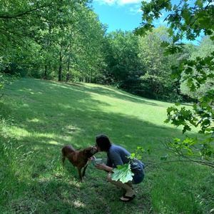 Meet your Posher, Saara